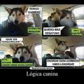 Logic of perros