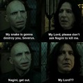 Voldy is kinky
