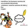 Contexto: Los mayas creían que el ser humano se creó a partir del maíz