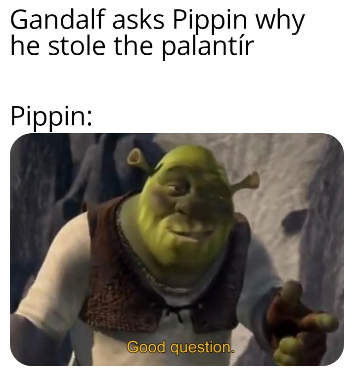 What is wrong with you, Pippin? - meme