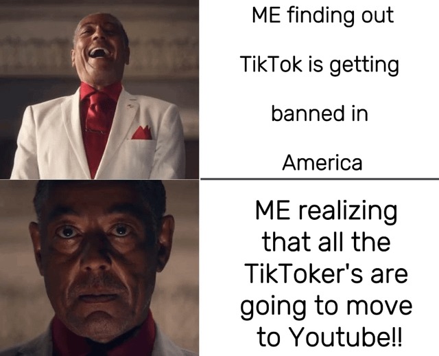 Tiktokers will move to youtube.. - meme