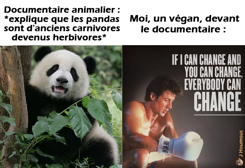 La citation du poète (Rocky IV) - meme