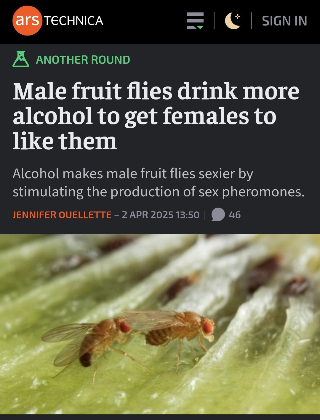 Apparently fruit flies are jocks - meme