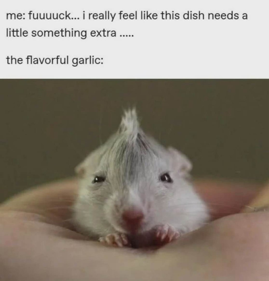me: this dish needs a lil extra / garlic: I got you - meme