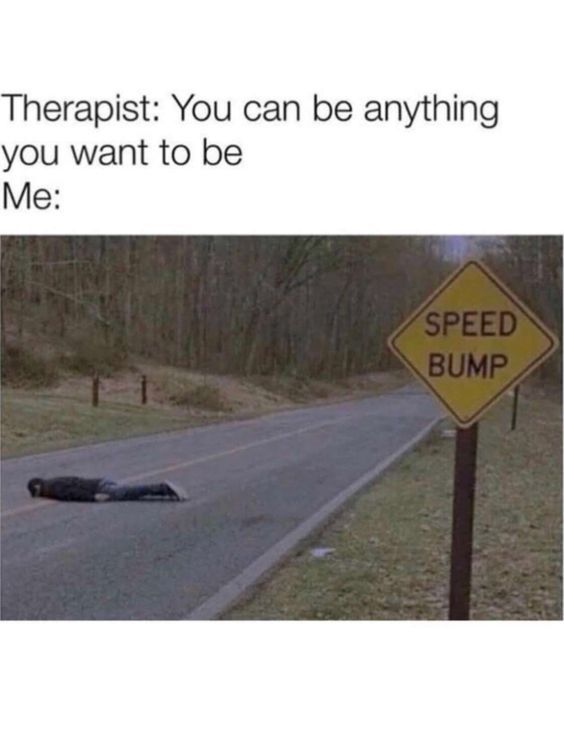 speed bumb - meme