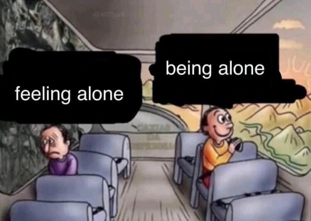 Feeling alone vs being alone - meme