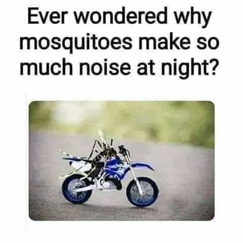 Why mosquitoes make so much noise? - meme