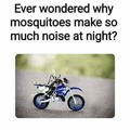 Why mosquitoes make so much noise?