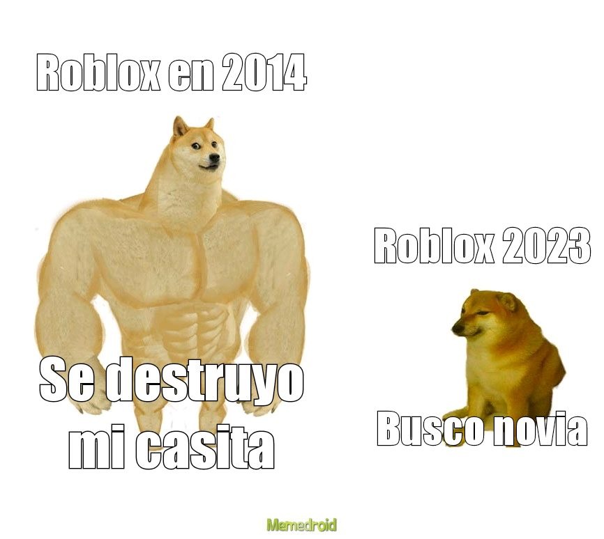 Doge o floppa? - meme