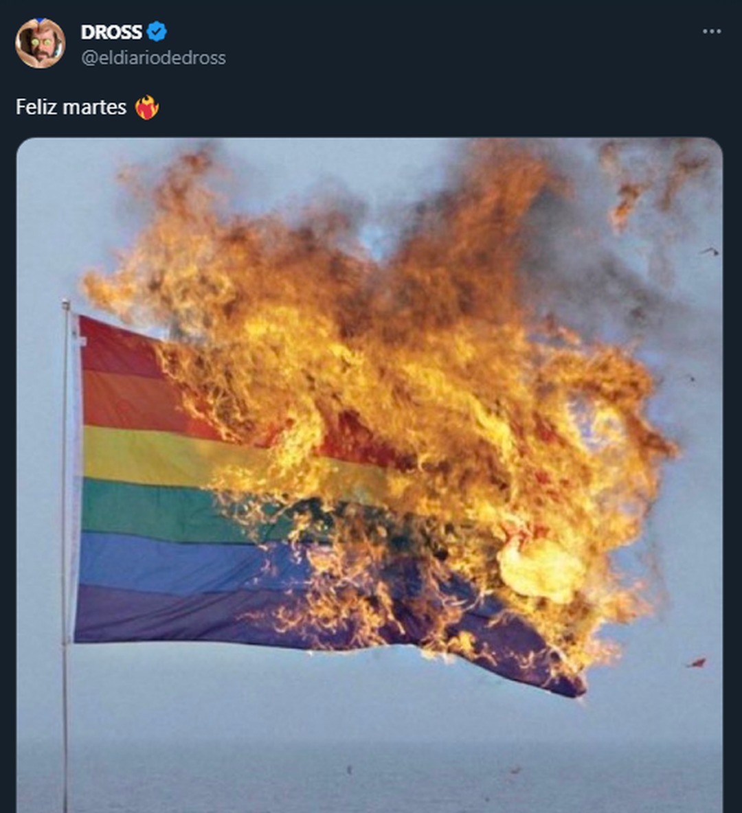 La bandera LGTV siendo quemada - meme