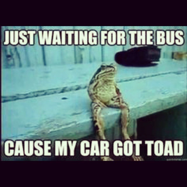 Toad - meme