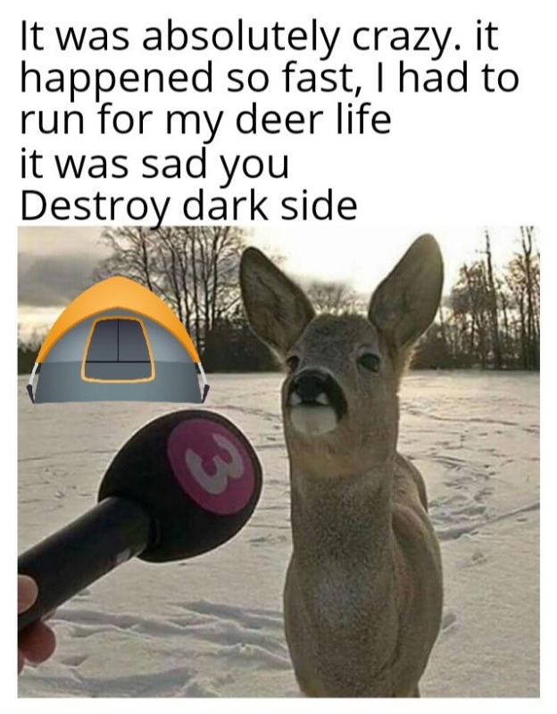 Deer news winter - meme