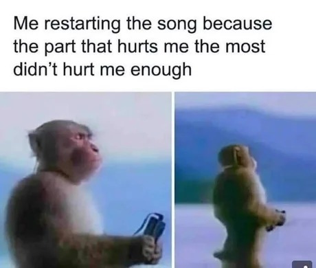 sad songs - meme