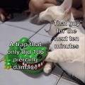 commented item thumbnail