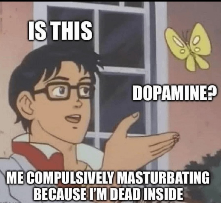 Is this dopamine or am I just dead inside? - meme