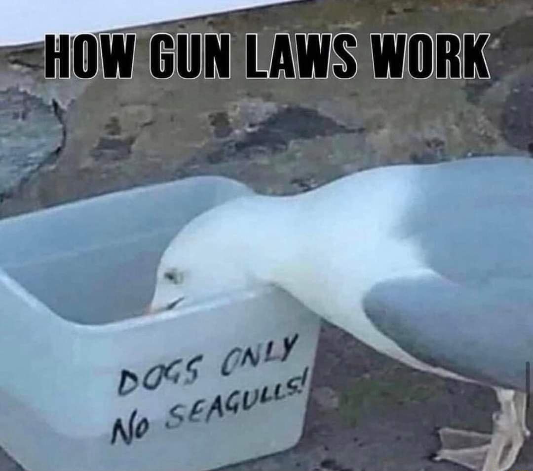 Gun laws - meme