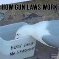 Gun laws