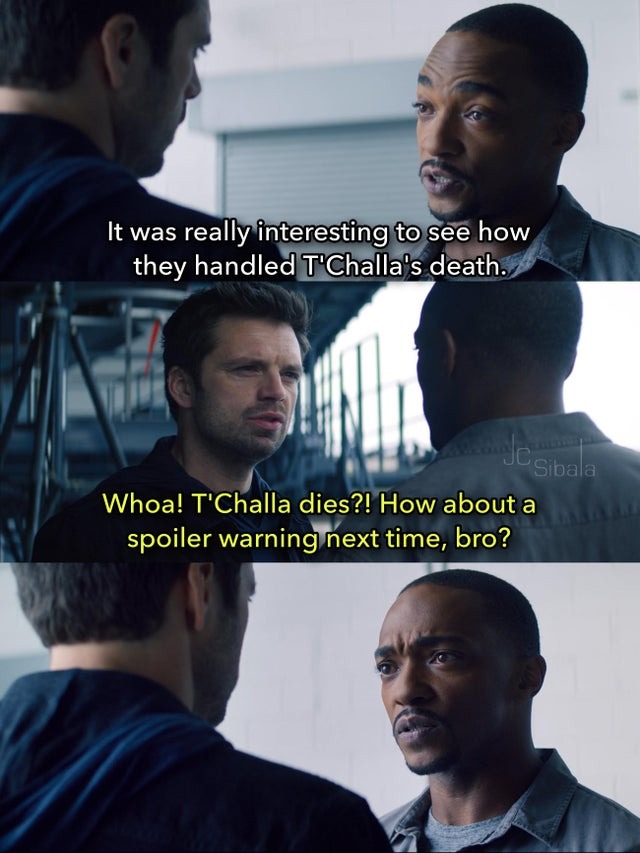 T'Challa in Black Panther 2 - meme