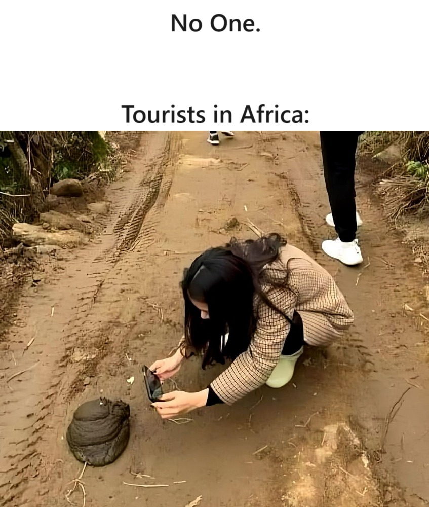 Tourists - meme