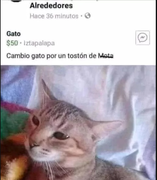 iztapalapa - meme