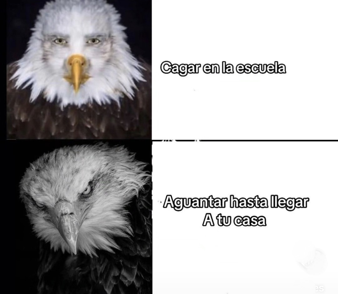 El reto final es aguantar la escuela hasta llegar a casa - meme