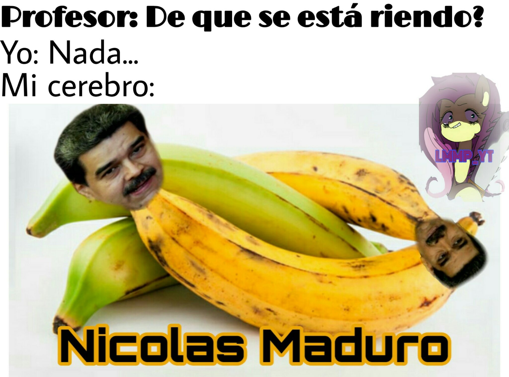 Pinshi Maduro, los pobres venezolanos seguro ni les queda tiempo para ver memes