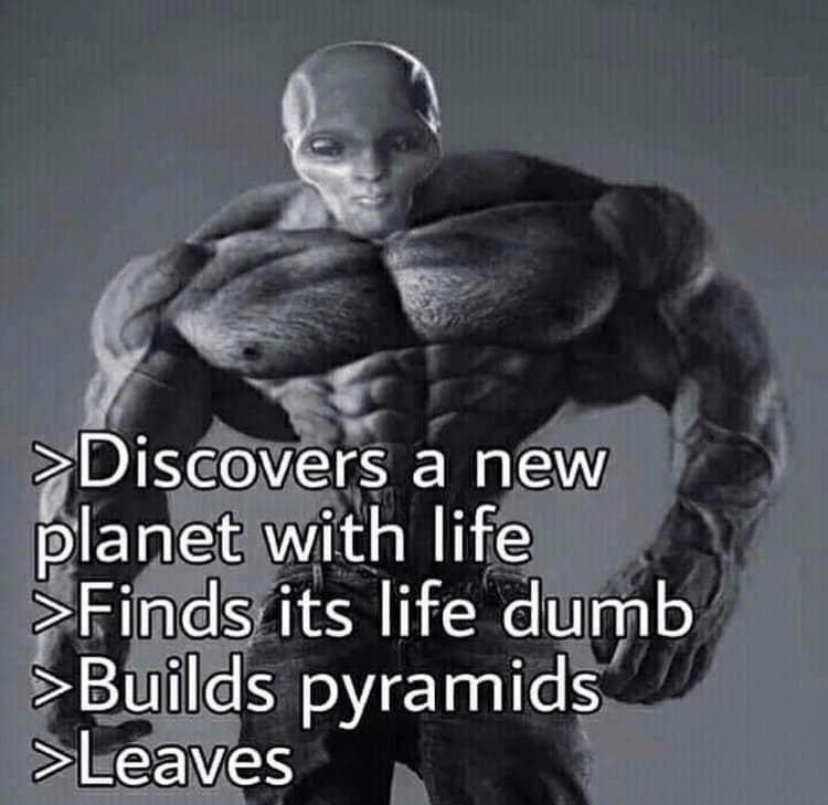 *invents new life on planet - meme