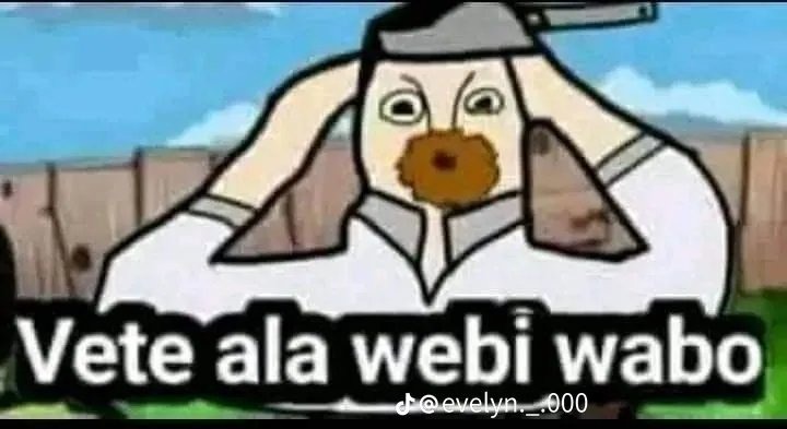Webibabo - meme