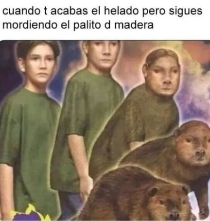 Para el tipo que sube cada día el meme del helado