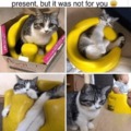 commented item thumbnail
