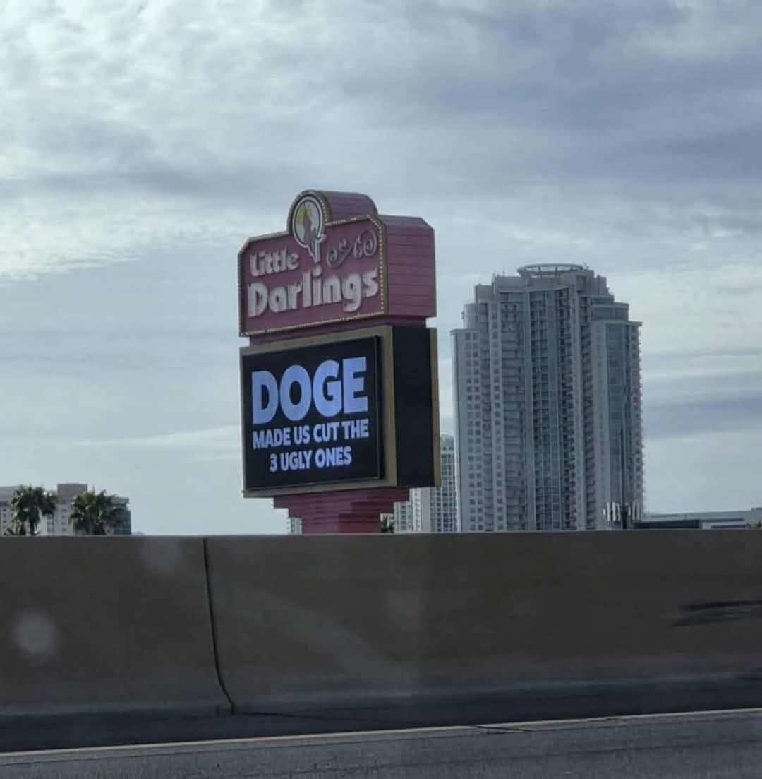 DOGE Already Improving Society - meme