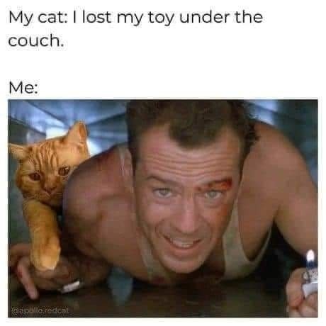 Me: digging under the couch like it’s a bomb defusal site just to get cat’s toy - meme