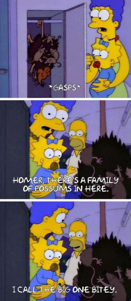 One of the best simpsons episodes ever. - meme
