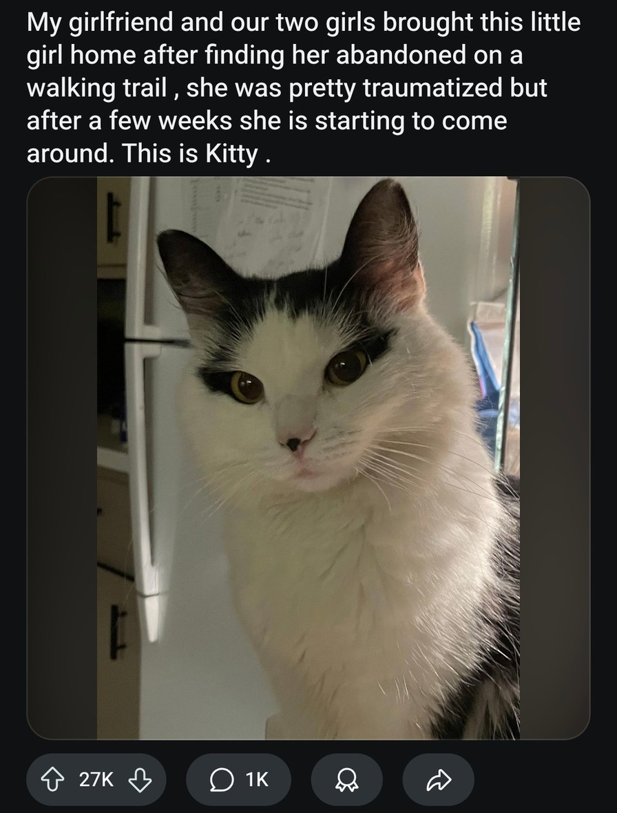 My girlfriend rescued a kitten and now I’m emotionally attached to a fluffball - meme