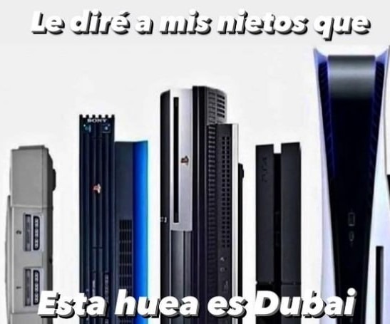 Esto parece Dubai pero con vacas y palets - meme