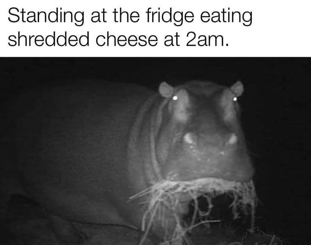 2AM fridge shredded cheese goblin mode - meme