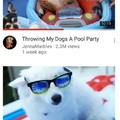 The cooler doggo party