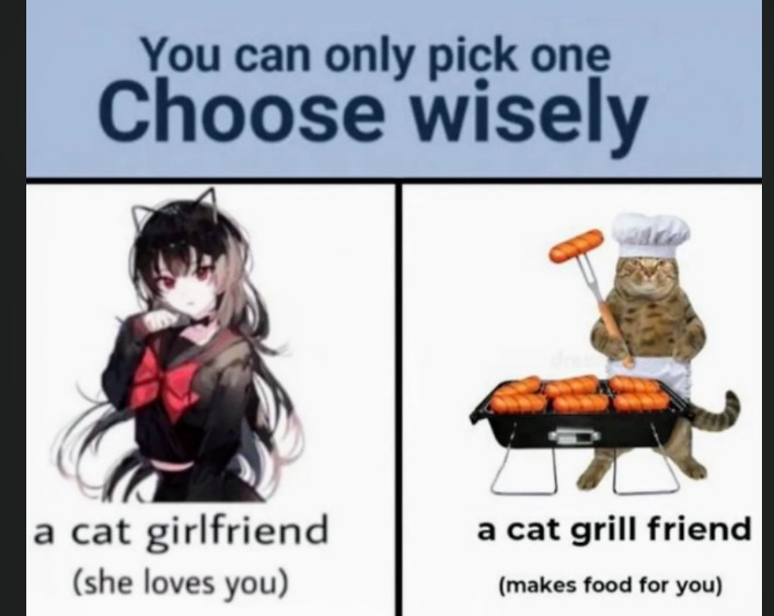 Make your choice - meme