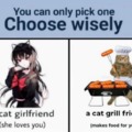 Make your choice