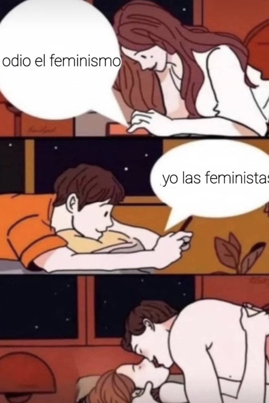 Odio al feminismo, yo a las feministas - meme