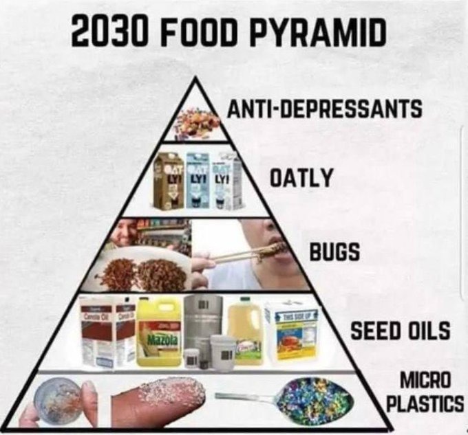 food pyramid - meme