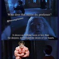 Harry Squatter