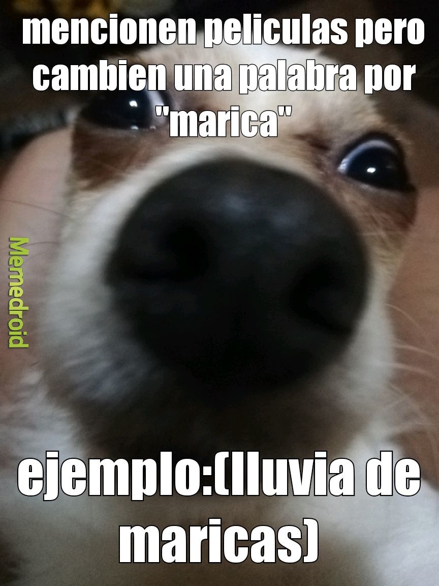 marika - meme