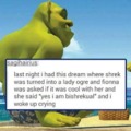 Shrek dream