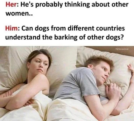 Can dogs from different countries understand the barking of other dogs? - meme