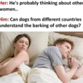 Can dogs from different countries understand the barking of other dogs?