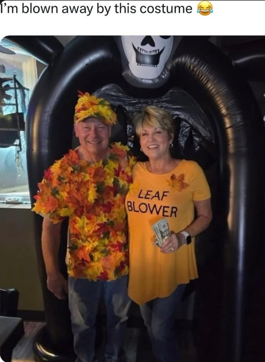 Leaf blower costume blew me away literally - meme