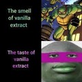 Vanilla extract is nasty by itself >:[