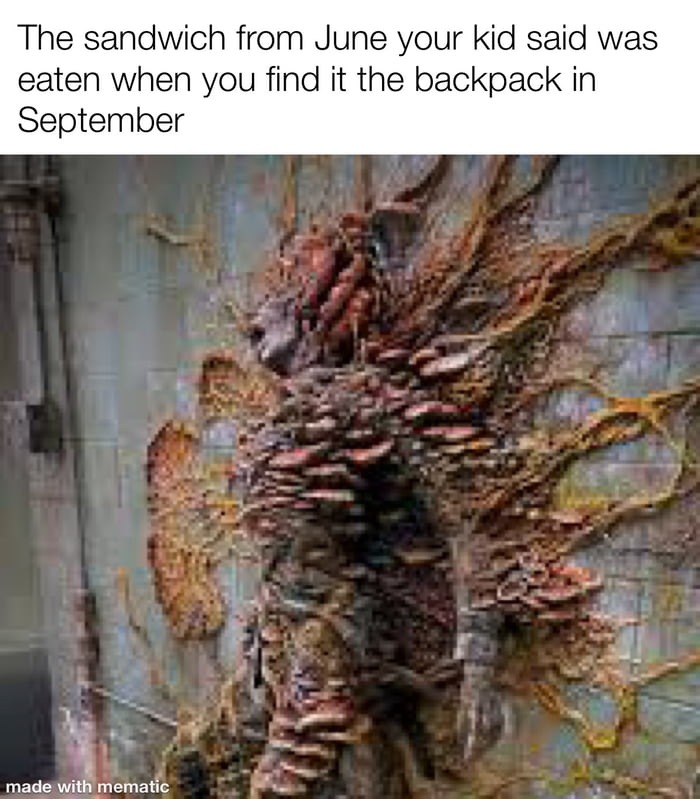 Part of the lunch, part of the fridge. - meme