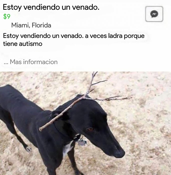 Im selling a deer, traducido por mi en paint.NET - meme